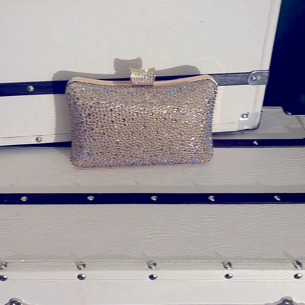 Crystal studded mini bag for grand occasions.